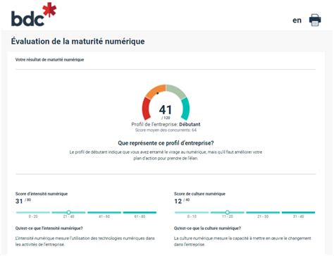 Évaluation De La Maturité Numérique Bdcca