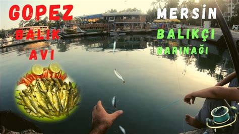 Lrf Takımla Gopez Kupez Kupes Balık Avı Youtube