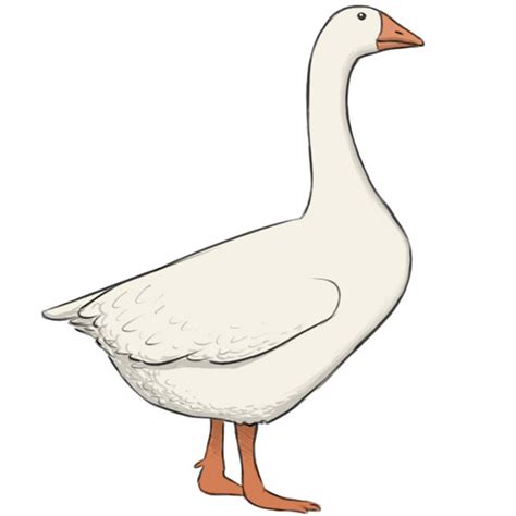 How To Draw A Goose Easy Drawing Art