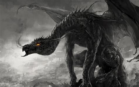 Black Dragon Wallpapers Images