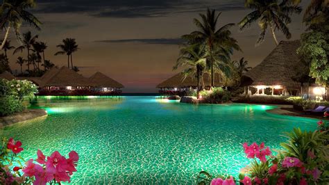 Картинка пейзаж ночной ночь тропики тропический пальмы бассейн цветы море x