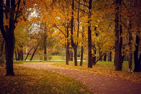 A Sad Autumn Park In Cloudy Weather Stock Image Image Of Autumnal