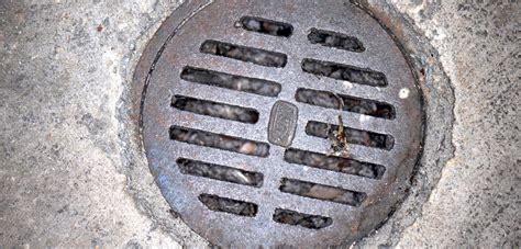 Basement Drains Everything You Need To Know Tool Digest