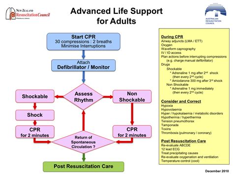 Advanced Life Support For Adults New Zealand Nursing School Survival