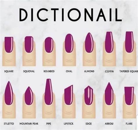 dictionail a guide to nail shapes and their names types of nails shapes nail shapes