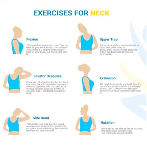 Exercise For Neck By Tanya P Exercise How To Skimble