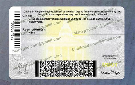 Maryland Drivers License Template New V2 Blank Psd