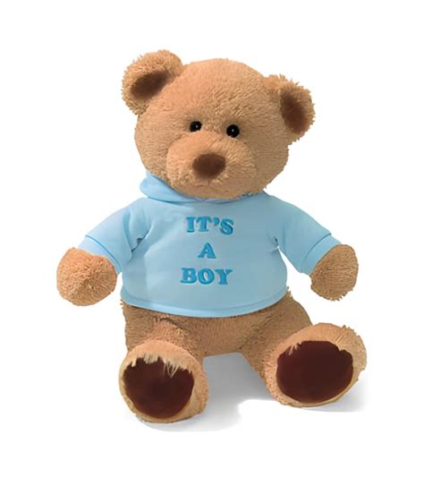 Its A Boy Teddy Bear Theflowershopae 37173