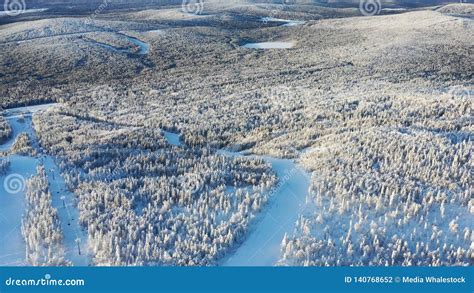Top View Of Highlands With Coniferous Forest In Winter Footage Stock