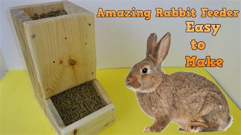 Diy Rabbit Feeder Rabbit Hay Feeder With Litter Box Food