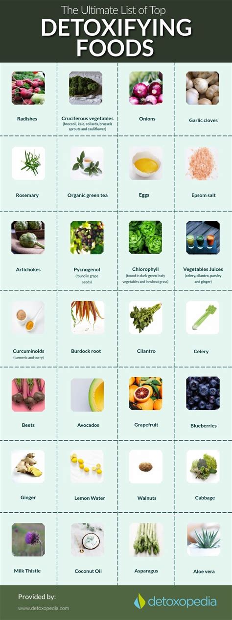 This Infographic Illustrates The Top Detoxifying Foods Which You Need