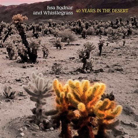 40 Years In The Desert Cd Album Free Shipping Over £20 Hmv Store