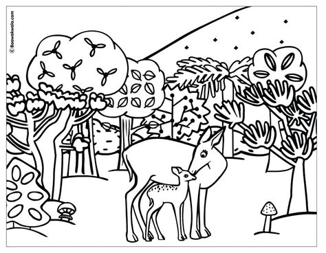 Tundra Animals Coloring Pages At Free Printable