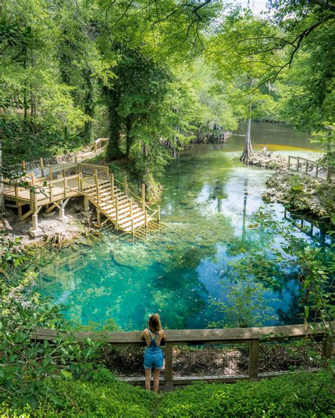 Sand Sun And Fun In The Real Florida Blue Springs State Park