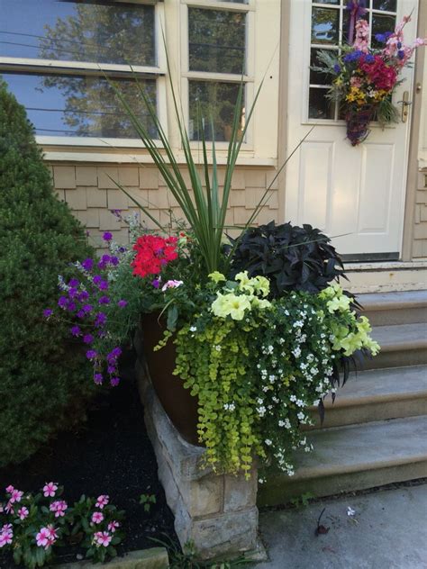 Thriller Filler Spiller Container Gardening Flowers Porch Flowers