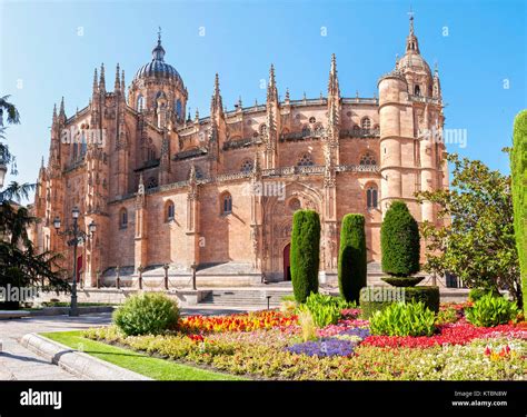 Catedral Nueva De Salamanca Ciudad Patrimonio De La Humanidad Castilla León España Stock