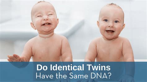 do identical twins have the same dna test smartly labs