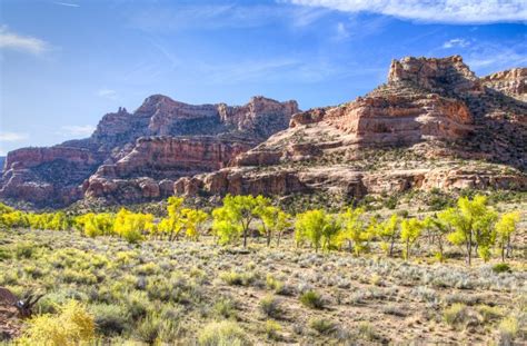 Public Lands Wildearth Guardians