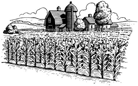 Farm art, Art pictures, Clipart black and white