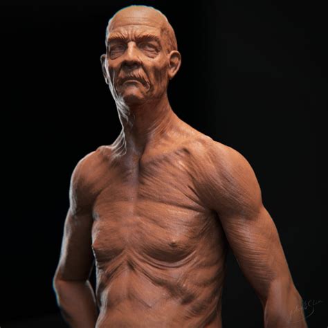 It studies structures and systems of the human body, leaving the study of tissues to histology and cells to cytology. Yin Shiuan's Blog_I Have A CG Dream: ZBrush Old Man Bust ...