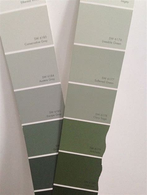 Color Tricks How To Avoid A Color Illusion In Your Home Sage Paint Color Sage Green Paint