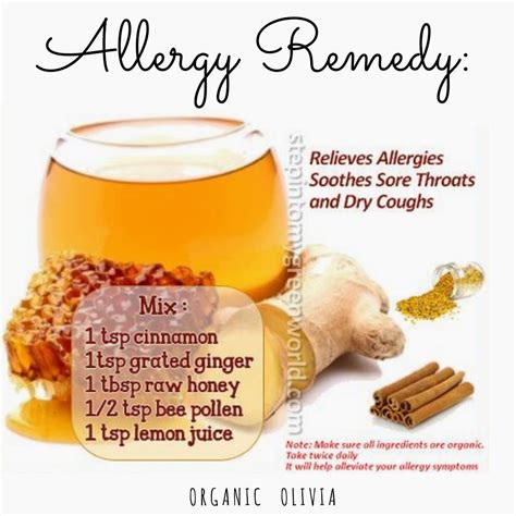 Top 10 Natural Allergy Remedies Organic Olivia Allergy Remedies