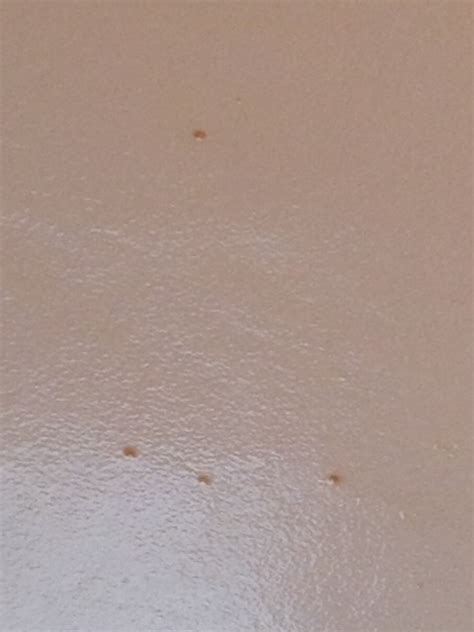 Tiny Brown Spots On Ceiling Shelly Lighting