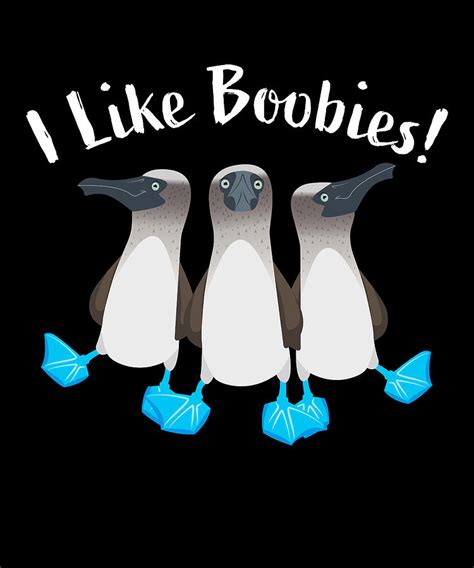 I Like Boobies Funny Booby Bird T Digital Art By Philip Anders