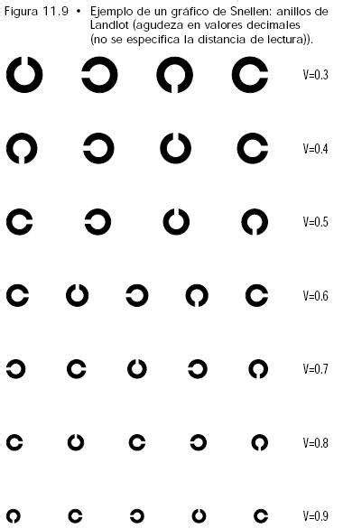Snellen Visus Eye Test Chart Letters Chart Vision Exam Vector Image