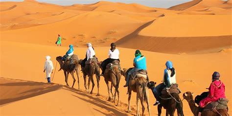 Desert Camel Ride Saharansky