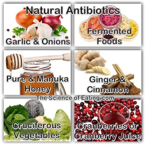 14 Natural Antibiotics To Fight Infection And What Drug Companies Don