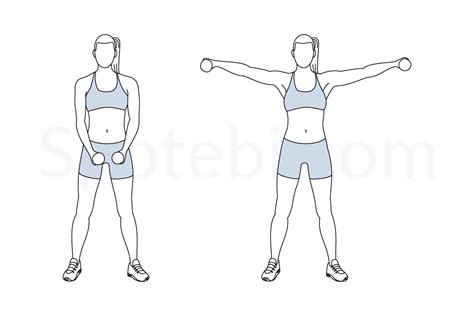 Dumbbell Lateral Raise Illustrated Exercise Guide