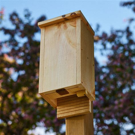How To Build A Bat House Lee Valley Tools