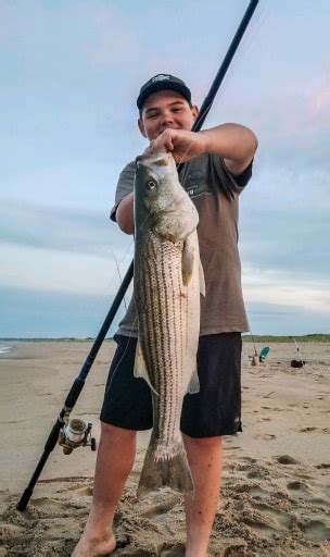 Ticen Willey From Milton De With His 34 Inch Striped Bass Caught In The