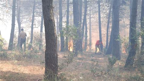 Jun 17, 2021 · son dakika: İstanbul'da Aydos Ormanı'ndaki yangın söndürüldü