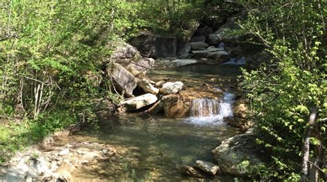 Foreste Casentinesi Monte Falterona Campigna National Park Tours Book