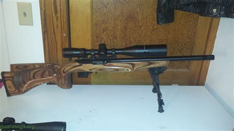 Rifles Custom 10 22
