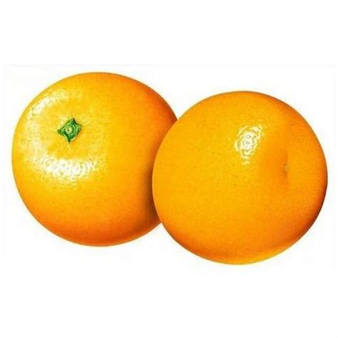 Orange Malta At Rs 85kilogram Oranges In Ahmedabad Id 15198184888