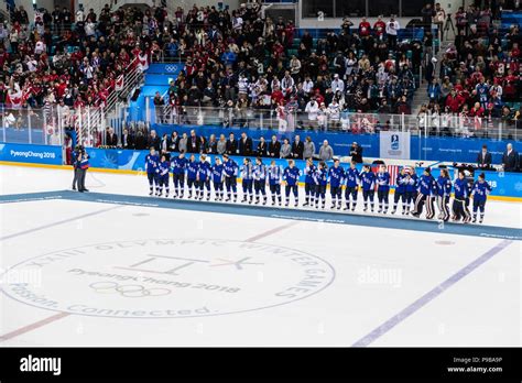 Team Usa Wins The Gold Medal Womens Ice Hockey Game Vs Canada At The