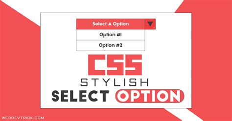 Custom HTML CSS Select Option | Stylish Dropdown Options
