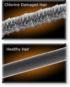 These tips can help you revive your chlorine damaged hair: Pin by Brigit Thomas on Beauty On A Budget | Chlorine ...