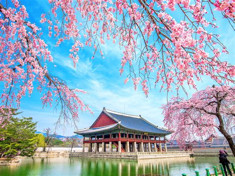 3 Romantic Places For Honeymoon In South Korea