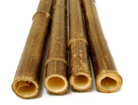 Natural Black Bamboo Poles Pack Of 25 1 X 72 Forever Bamboo