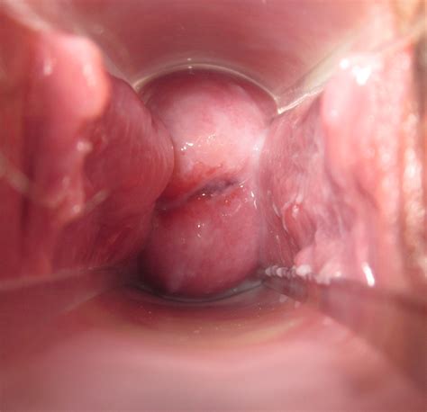 Picture Of Beautiful Vagina Image
