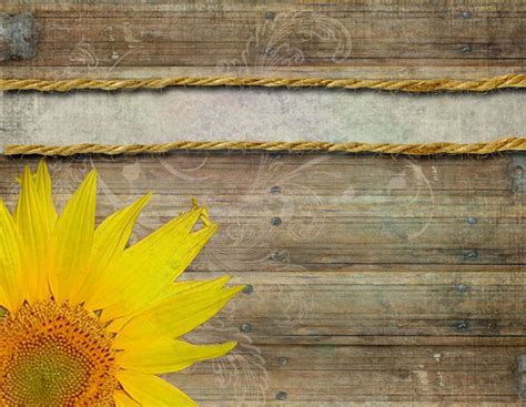 Abstract Yellow Sunflower Background Vector Ilration Template | Printable invitations, Sunflower ...