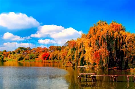 Colorful Autumn Trees Reflected At The Stock Image Colourbox