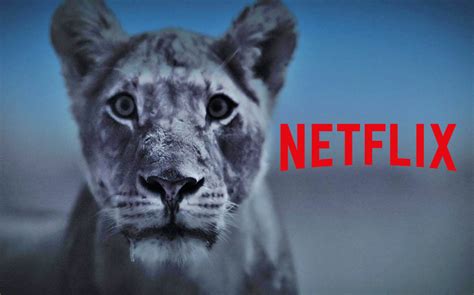 Peliculas De Animales En Netflix Mannerbeauty
