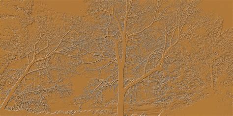 Light Brown Embossed Trees Photograph By Sheila Kay Mcintyre Fine Art