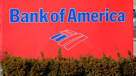 Bank Of America Customer Service Robust Options For Exceptional Support