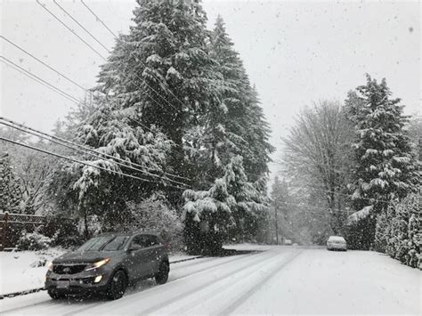 Photos From Metro Vancouvers First Major Snowfall Of The Season Cbc News